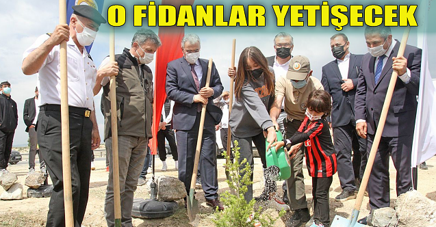 O fidanlar yetişecek: İlk fidanlar dikildi