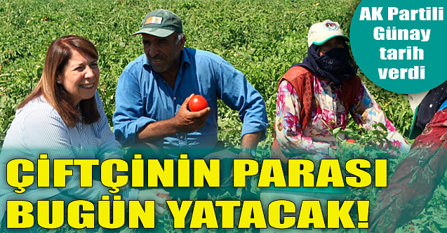 AK Partili Günay tarihi verdi: Çiftçinin parası bugün yatacak!
