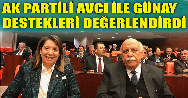 Avcı ve Günay 'destekleri' değerlendirdi
