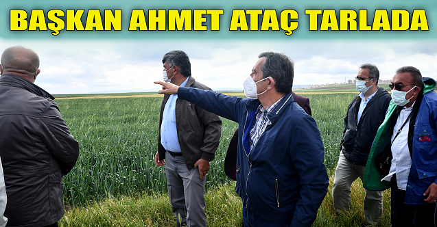 Başkan Ahmet Ataç tarlada