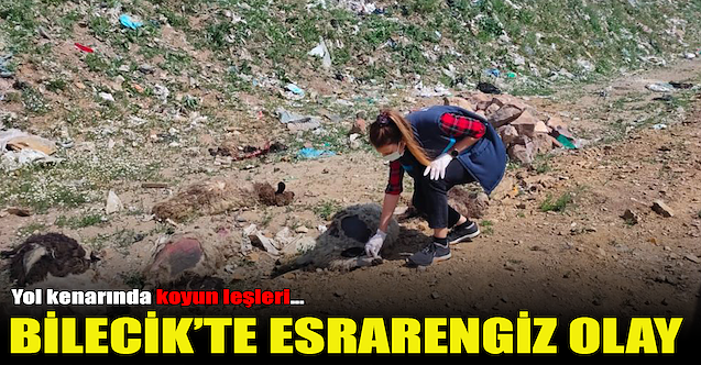 Bilecik'te esrarengiz olay