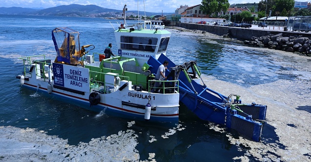 Bursa'da salya operasyonu