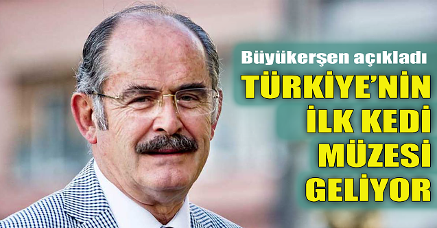 Büyükerşen açıkladı: Eskişehir'e kedi müzesi geliyor