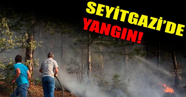 Seyitgazi'de yangın!