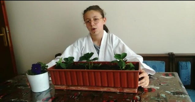 Taekwondo öğrencileri fidan dikti