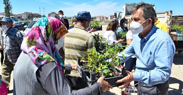 Vatandaşlara 7 bin 480 adet fidan dağıtıldı