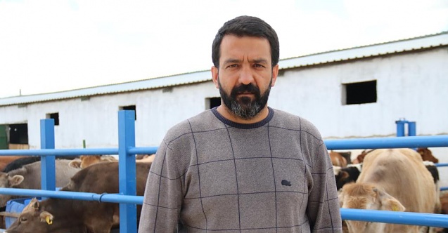 Yem fiyatlarında artış kurbanlıkları etkilemeyecek