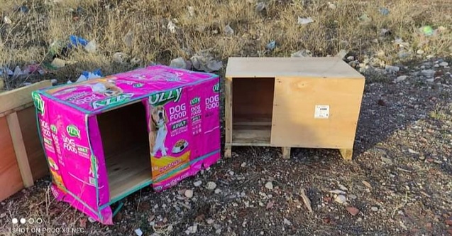Sokak canlılarının yeni evi para kasaları
