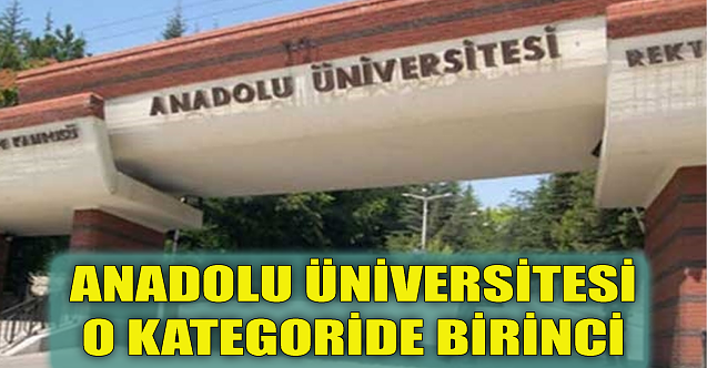 Anadolu Üniversitesi o kategoride birinci