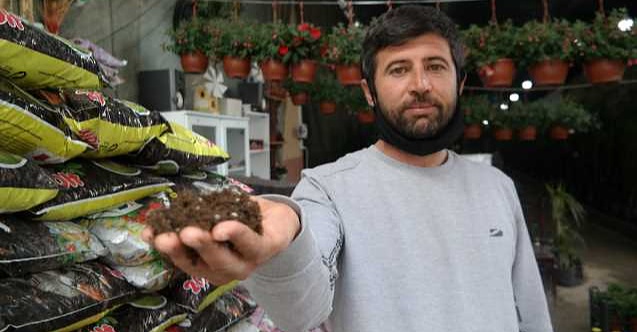 Evde bitki yetiştirenler bu uyarılara dikkat