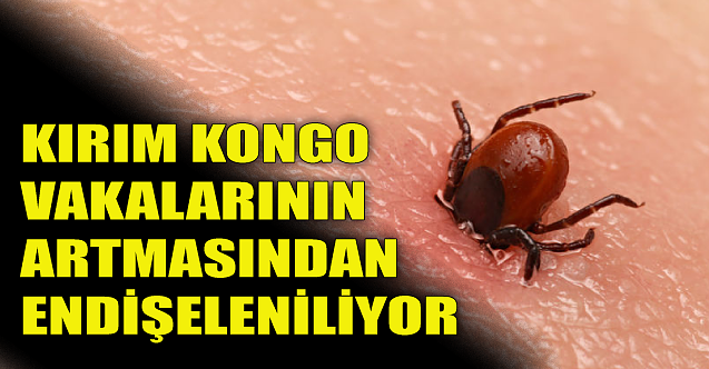 Kırım Kongo vakalarının artmasından endişeleniliyor