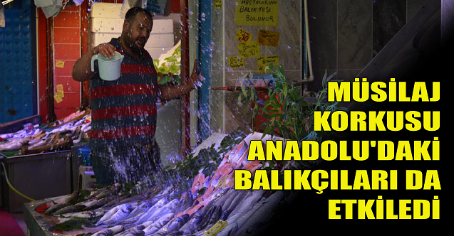 Müsilaj korkusu Anadolu'daki balıkçıları da etkiledi