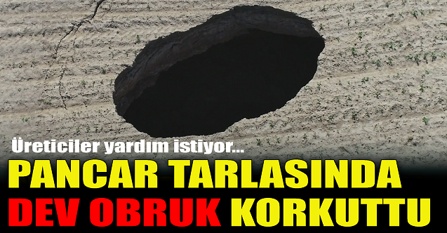 Pancar tarlasında korkutan obruk!