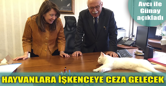 Avcı ile Günay hayvana işkence cezalarını açıkladı