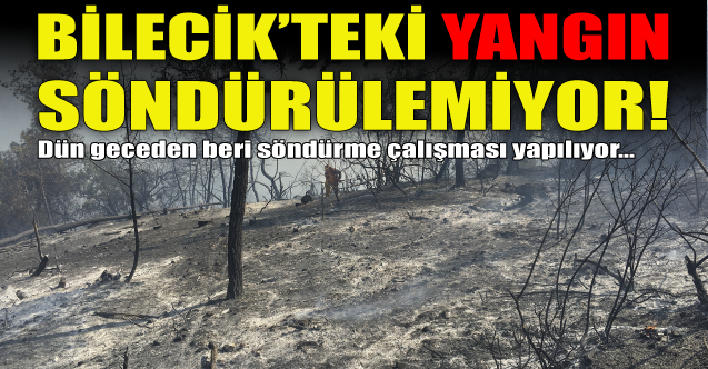 Bilecik'teki yangın söndürülemiyor!