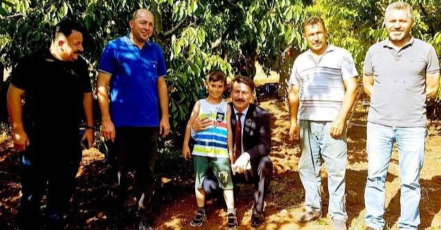 Eskişehirli kiraz üreticisinin yüzü güldü