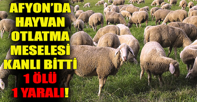 Hayvan otlatma meselesi kanlı bitti: 1 ölü, 1 yaralı!