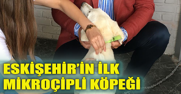 Eskişehir'in ilk mikroçipli köpeği