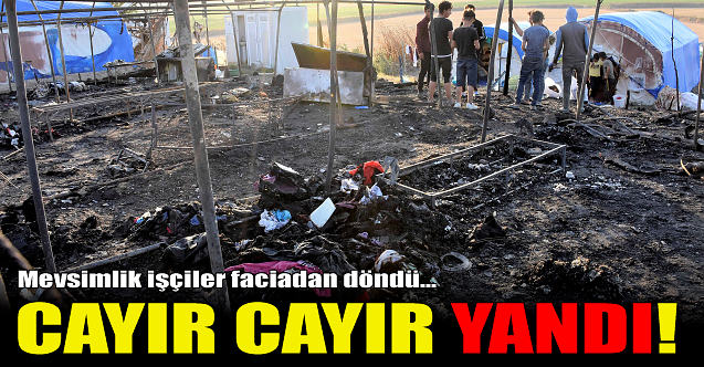 Mevsimlik işçiler faciadan döndü: Çadırlar cayır cayır yandı