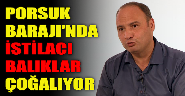 Porsuk Barajı'nda istilacı balıklar çoğalıyor