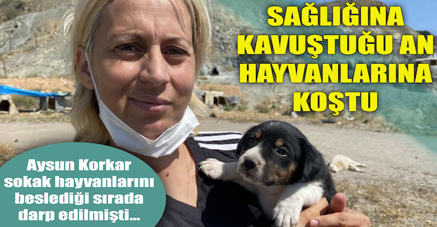Sağlığına kavuştuğu an hayvanlarına koştu