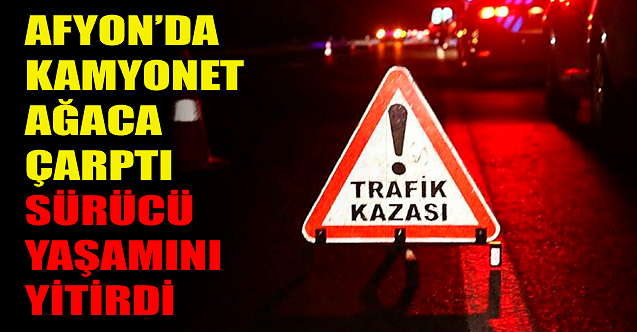 Afyonkarahisar'da kamyonet ağaca çarptı: Sürücü yaşamını yitirdi