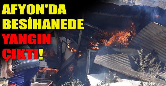Afyonkarahisar'daki besihanede yangın!