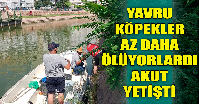 Az daha ölüyorlardı: AKUT yetişti!