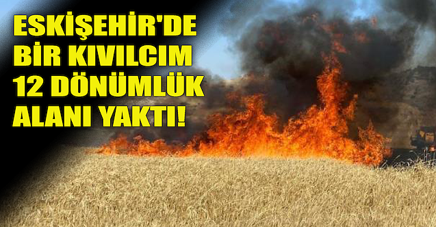 Eskişehir'de bir kıvılcım 12 dönümlük alanı yaktı
