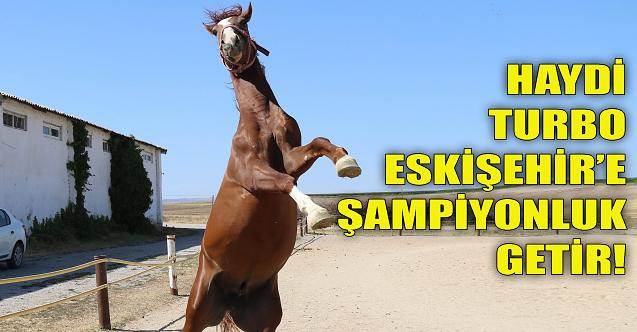 Haydi Turbo, Eskişehir'e şampiyonluk getir!