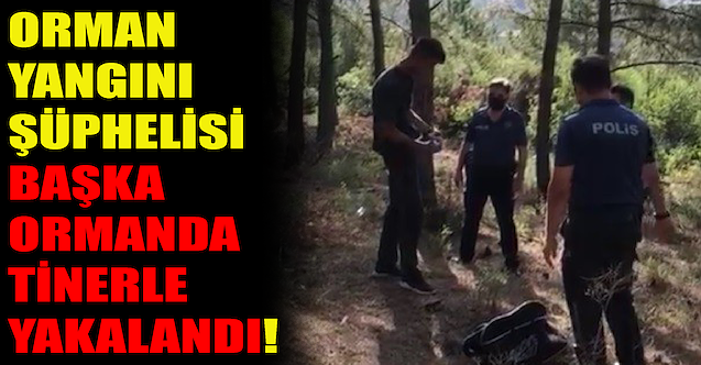 Orman yangını şüphelisi, başka ormanda tinerle yakalandı