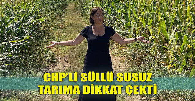 CHP'li Süllü, susuz tarıma dikkat çekti