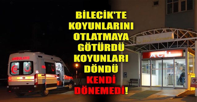 Bilecik'te koyunlar eve dönünce acı gerçek ortaya çıktı