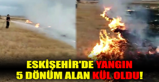 Eskişehir'de yangın: 5 dönüm alan kül oldu!