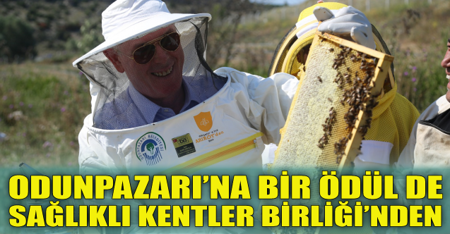 Odunpazarı’na bir ödül de Sağlıklı Kentler Birliği’nden
