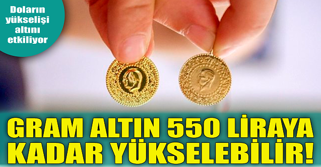 Gram altın 550 liraya kadar yükselebilir!