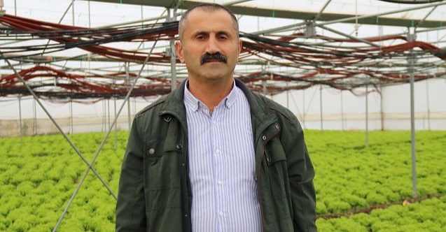 Eskişehir'de marulun fiyatı belli oldu