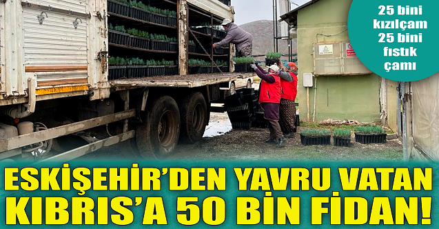 Eskişehir'den yavru vatana 50 bin fidan!