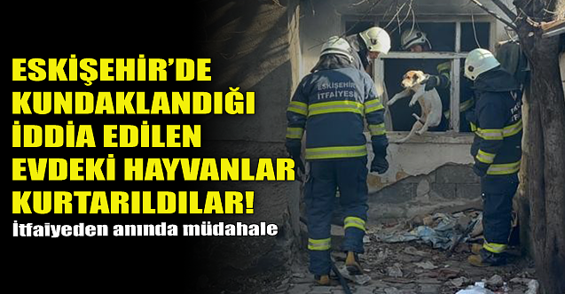 Eskişehir'de kundaklandığı iddia edilen evdeki hayvanlar kurtarıldı!