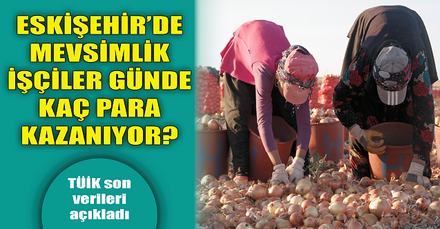 Eskişehir'de mevsimlik işçiler günde kaç para kazanıyor?