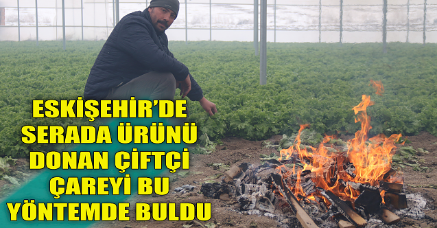 Eskişehir'de serada ürünü donan çiftçi çareyi bu yöntemde buldu!
