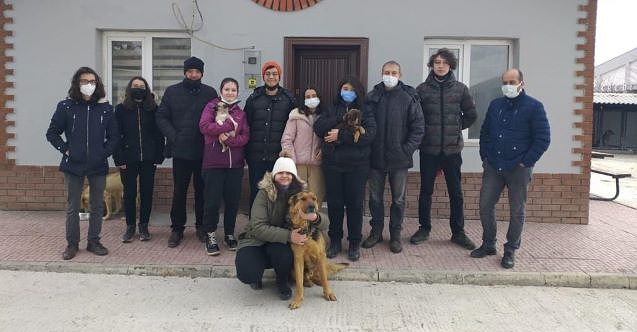 Odunpazarı, barınağını İstanbul'a açtı!