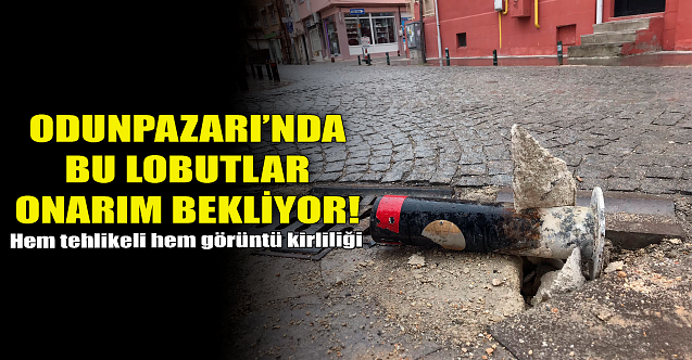 Odunpazarı'nda bu lobutlar onarım bekliyor!