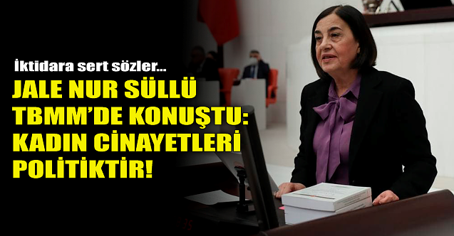 Jale Nur Süllü'den iktidara sert sözler!