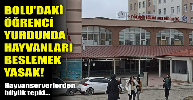 Bolu'daki öğrenci yurdunda hayvanları beslemek yasak!