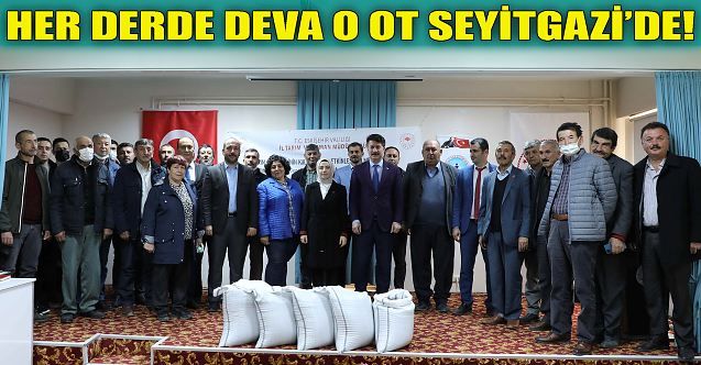 Her derde deva o ot Seyitgazi'de!