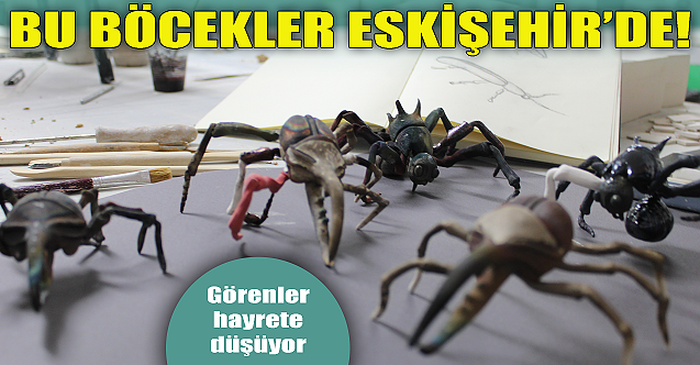 Bu böcekler Eskişehir'de: Görenler hayrete düşüyor...