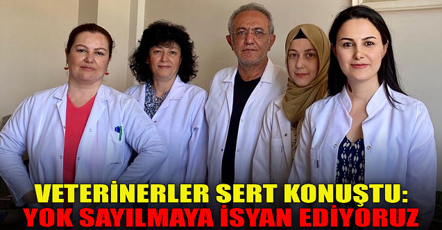 Veterinerler sert konuştu: Yok sayılmaya isyan ediyoruz