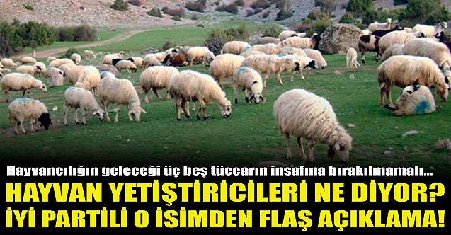 İYİ Partili o isimden flaş hayvancılık çıkışı!