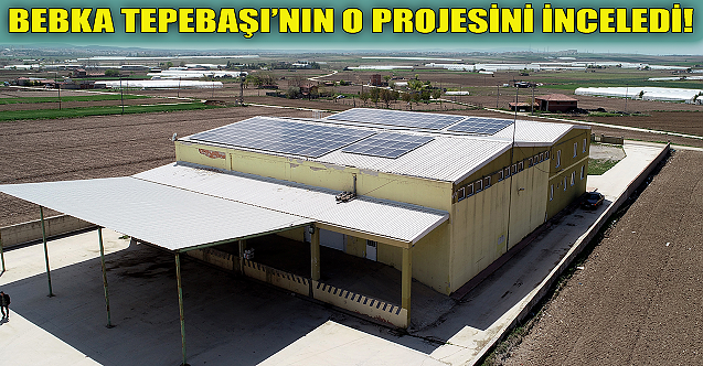 BEBKA uzmanları Tepebaşı'nın o projesini inceledi!